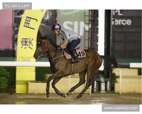 关注澳门赛马最新消息，了解本季赛马奖金分配及参赛马匹最新动态